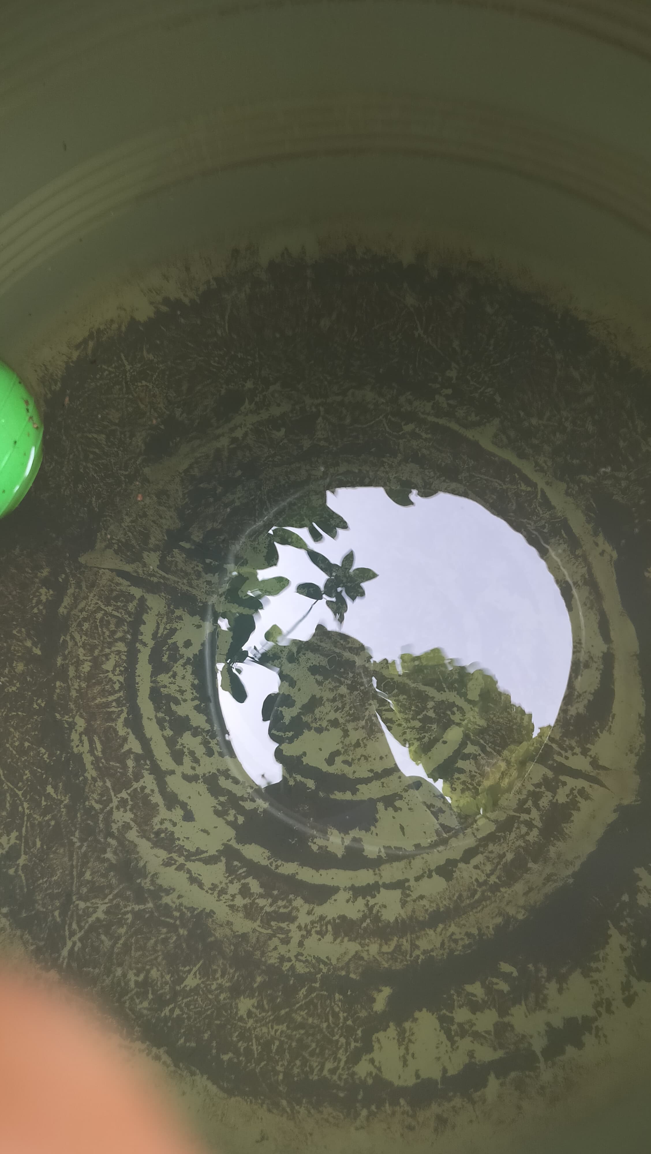 Water tank before cleaning — sludge and sediment buildup